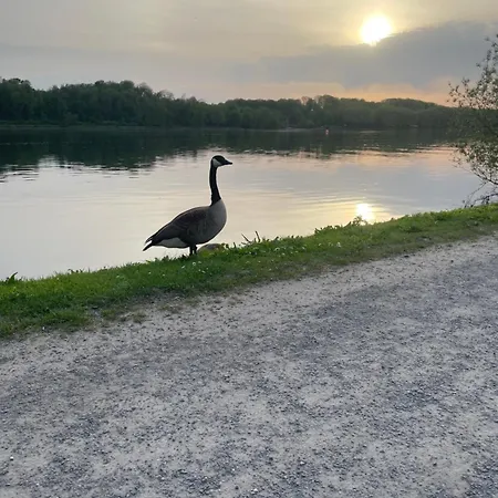 Unterstrich Baldeneysee Auf I Ns T A Anschreiben Villa Essen